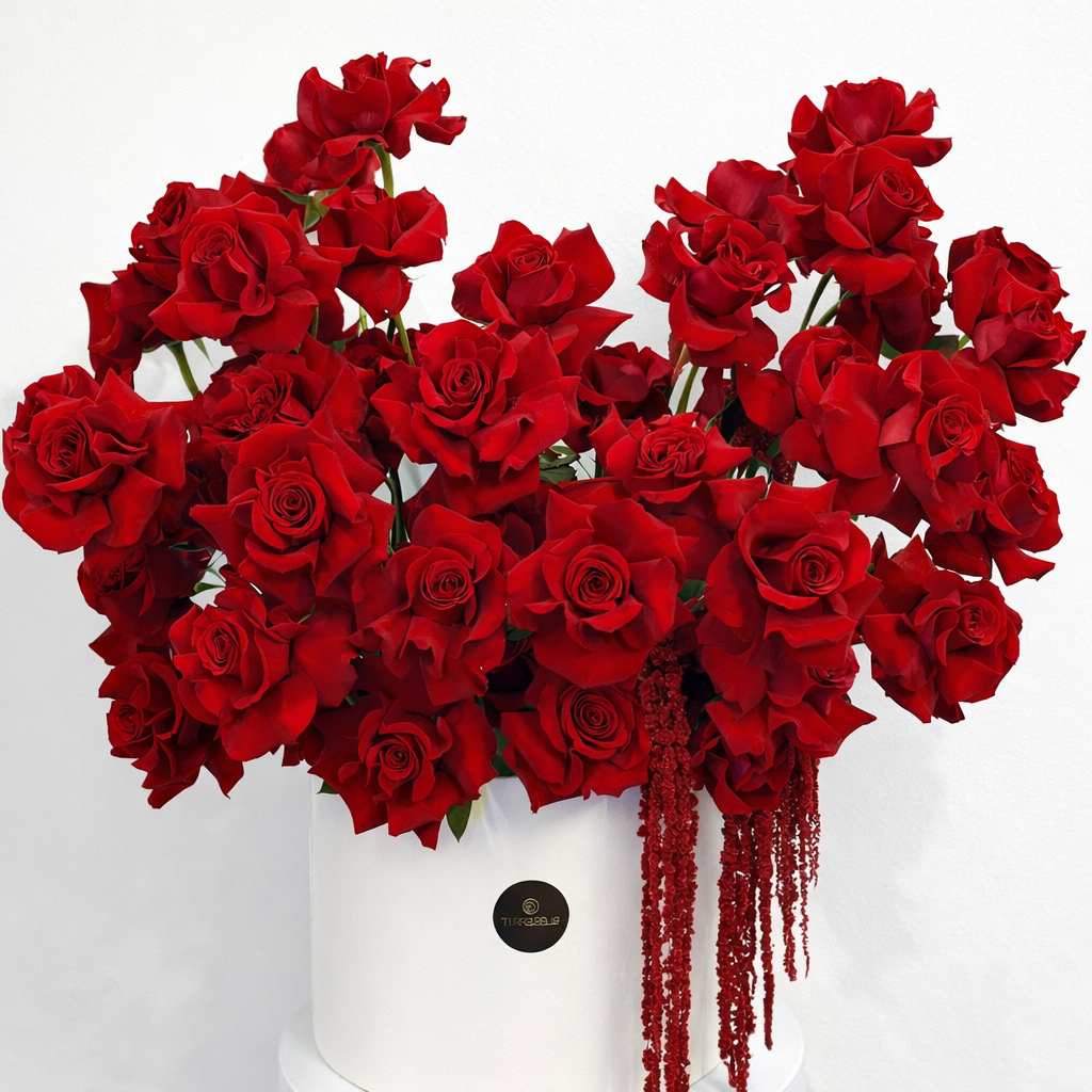 Ruby Reverie