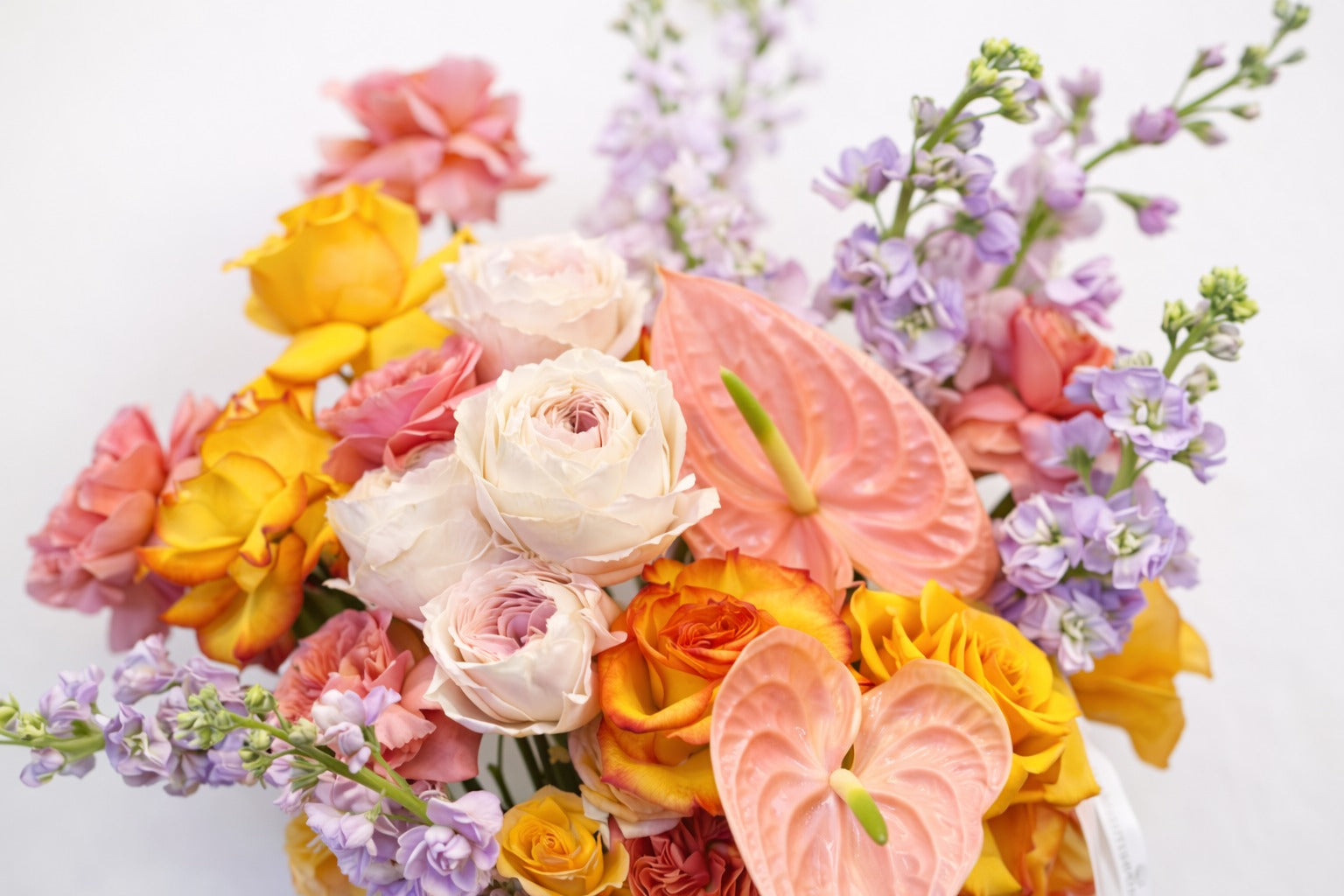 Bloom No. 5
