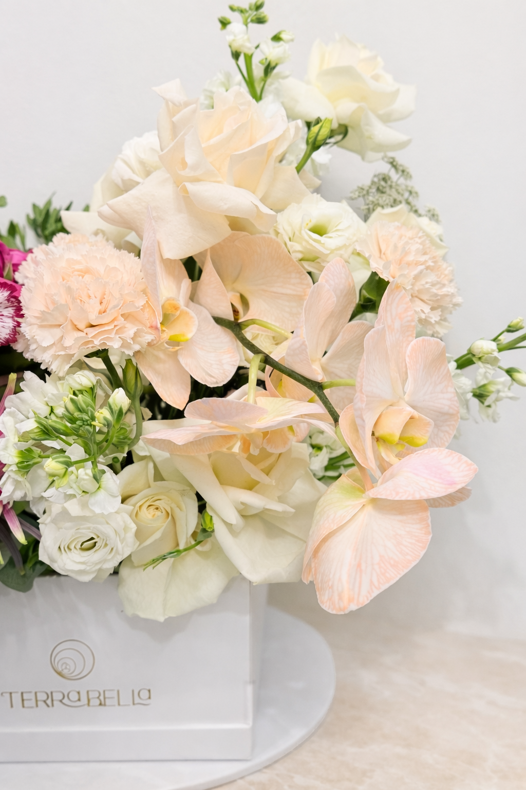 Dolce Bloom