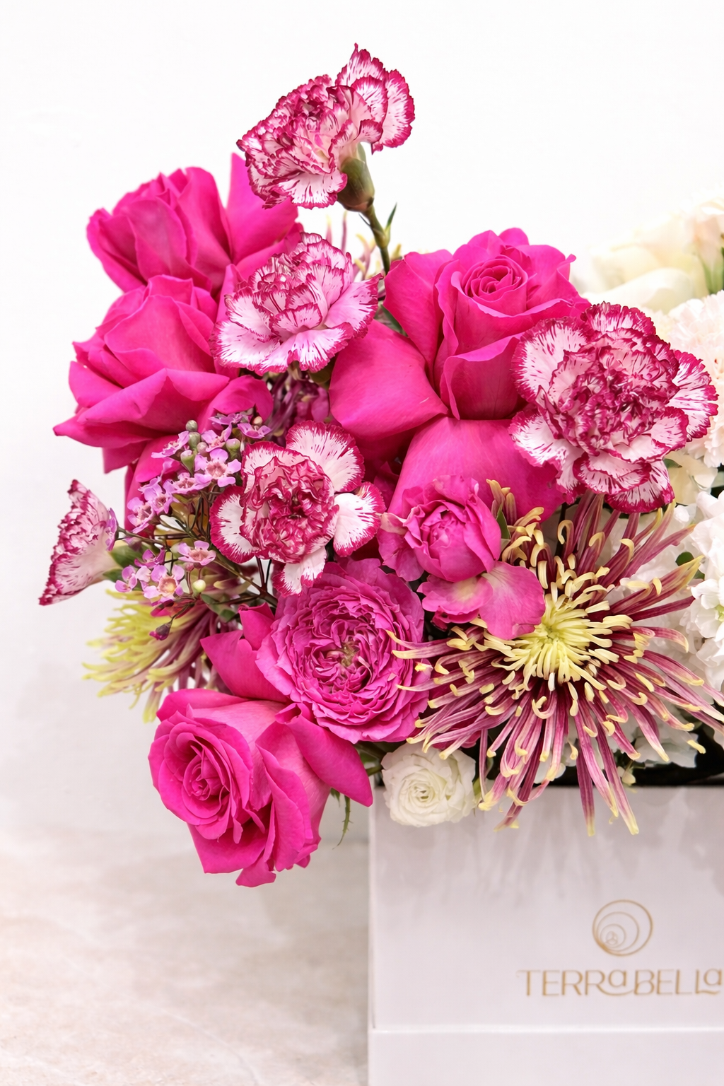 Dolce Bloom