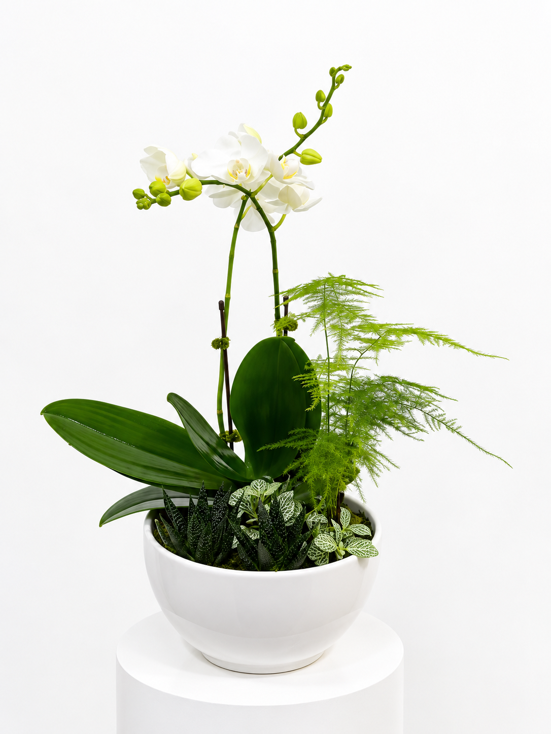 Botanical Luxe