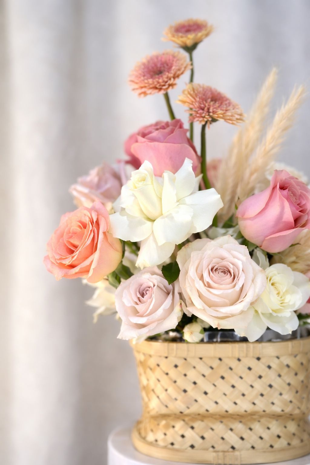 Aurora Blush